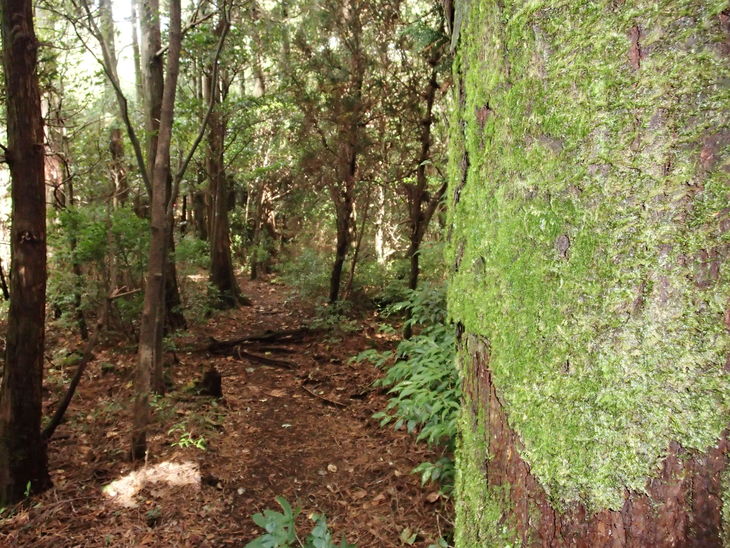 b0291016_19181394.jpg