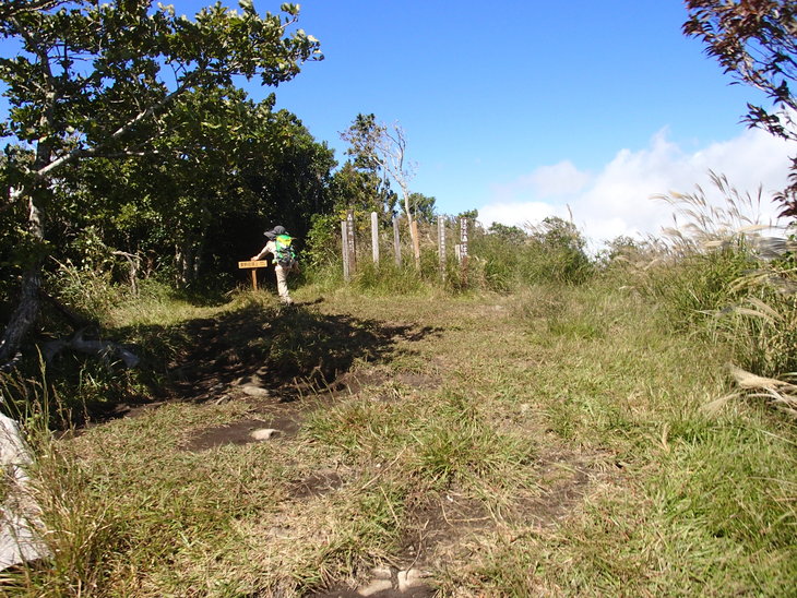 b0291016_19204140.jpg