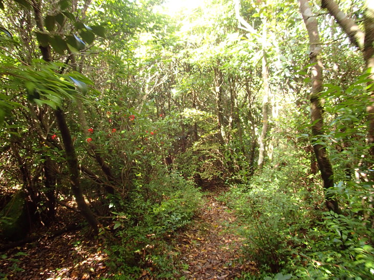 b0291016_19235242.jpg