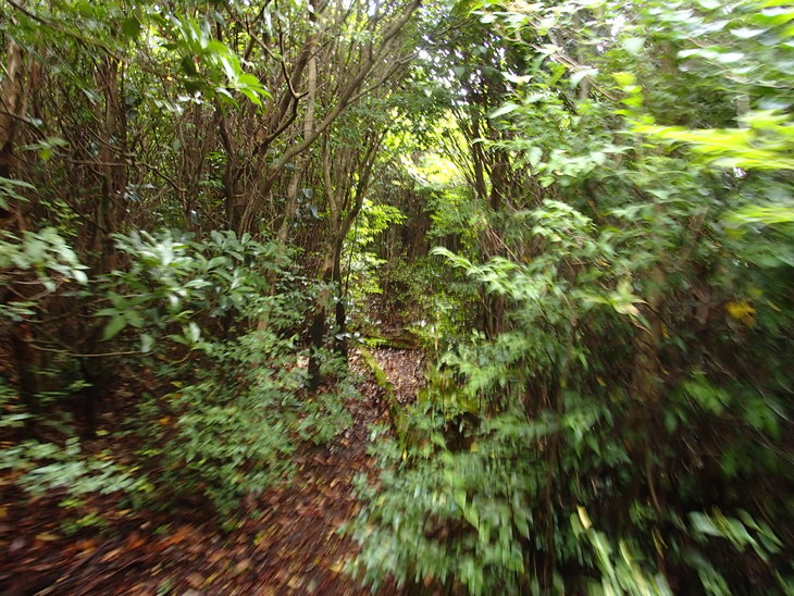 b0291016_19544681.jpg