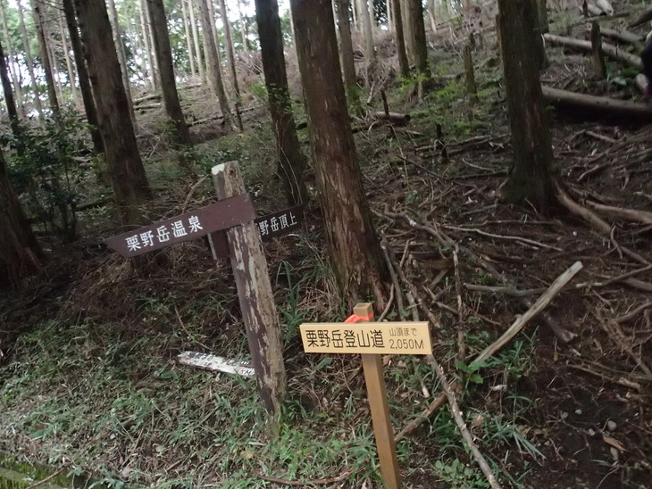 b0291016_19571336.jpg