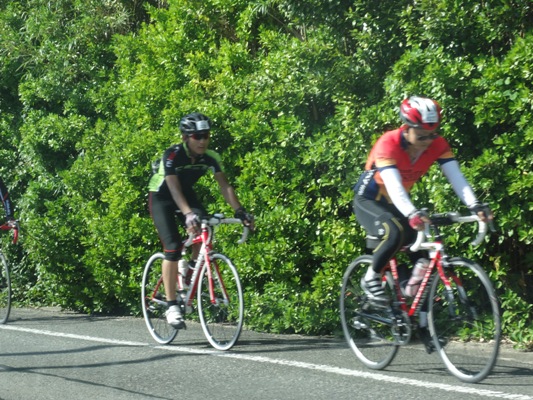 c0042418_925750.jpg
