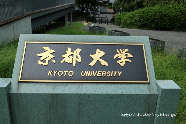 a0170321_22291210.jpg