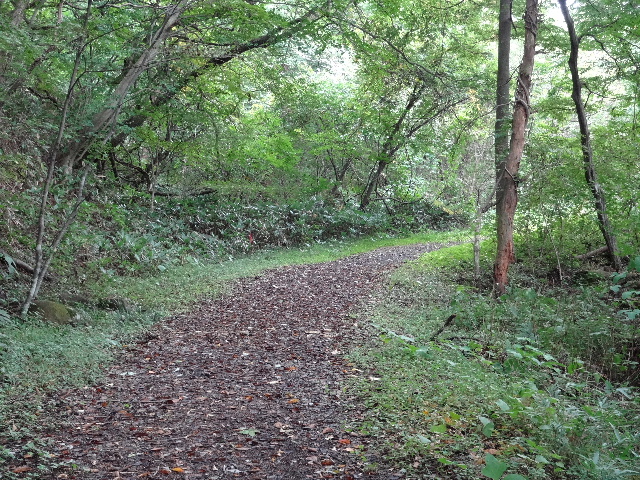 c0141223_20221071.jpg