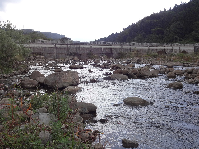 c0141223_20254916.jpg