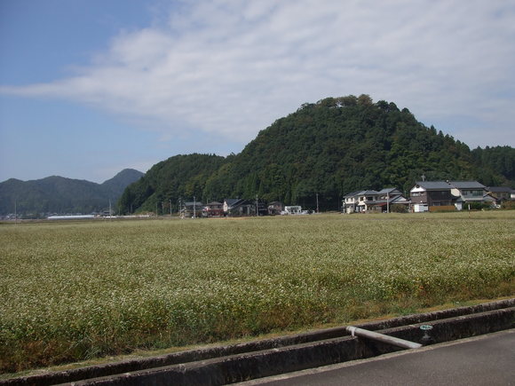 d0314924_23181682.jpg