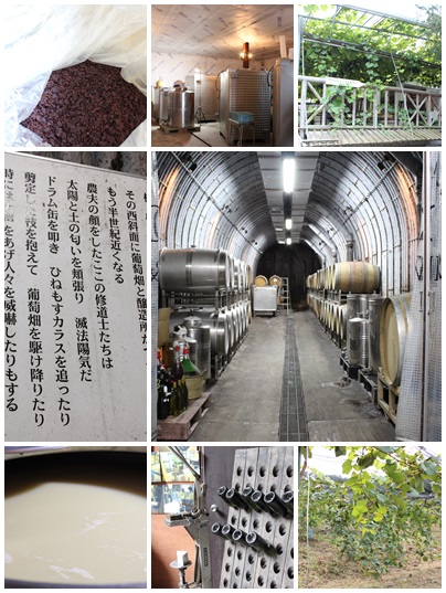 プチシトロン ワイナリーツアー2013_c0141025_21443813.jpg