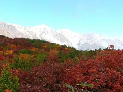 c0225927_169191.jpg