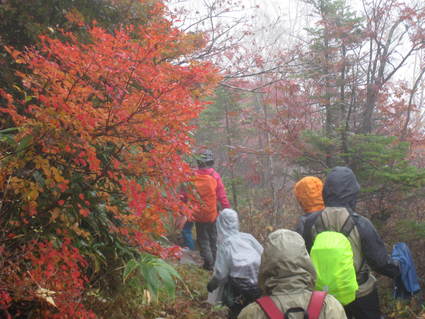 秋を彩る紅葉の本白根山絶景ハイキング開催!_a0057828_1152515.jpg