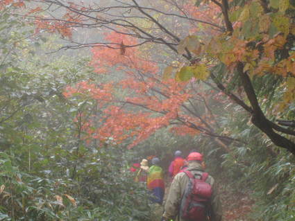 秋を彩る紅葉の本白根山絶景ハイキング開催!_a0057828_1155225.jpg
