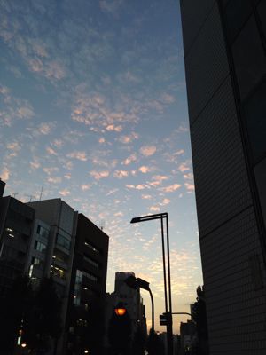 秋は夕暮れ…。。_c0142329_20405035.jpg