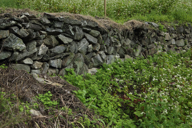 f0017530_2255163.jpg