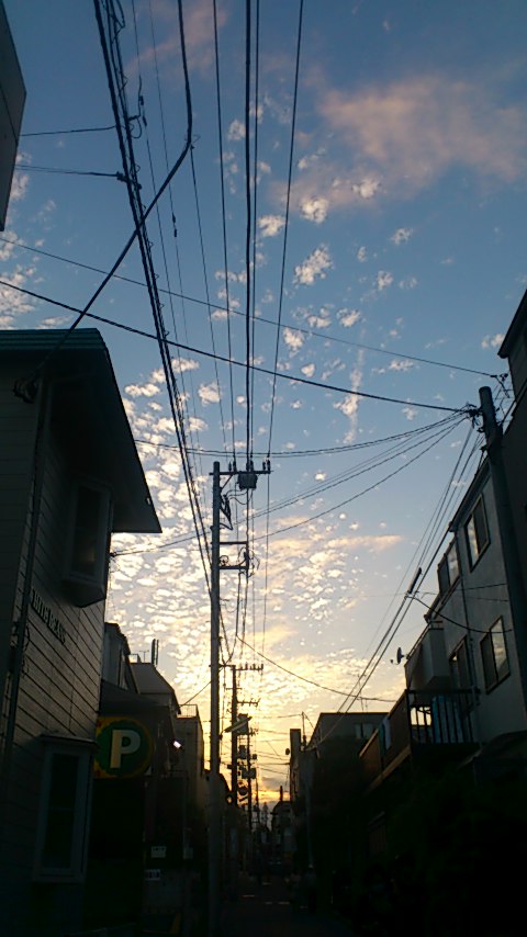 e0069433_1773944.jpg
