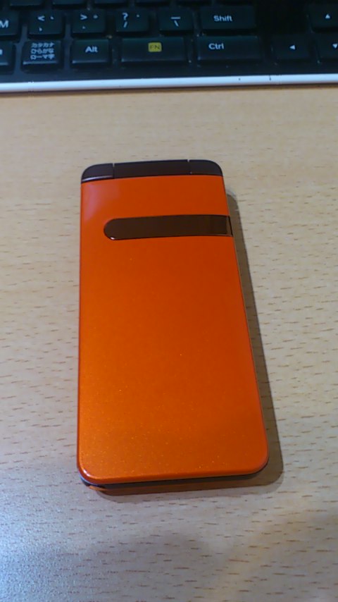 e0069433_1773958.jpg