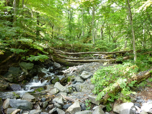 b0298935_1125195.jpg