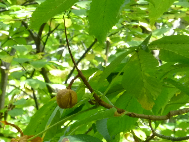b0298935_11381470.jpg