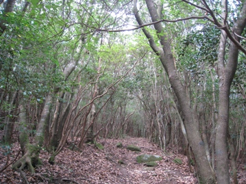 c0077338_66637.jpg