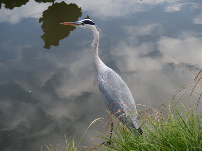 c0097838_1675324.jpg
