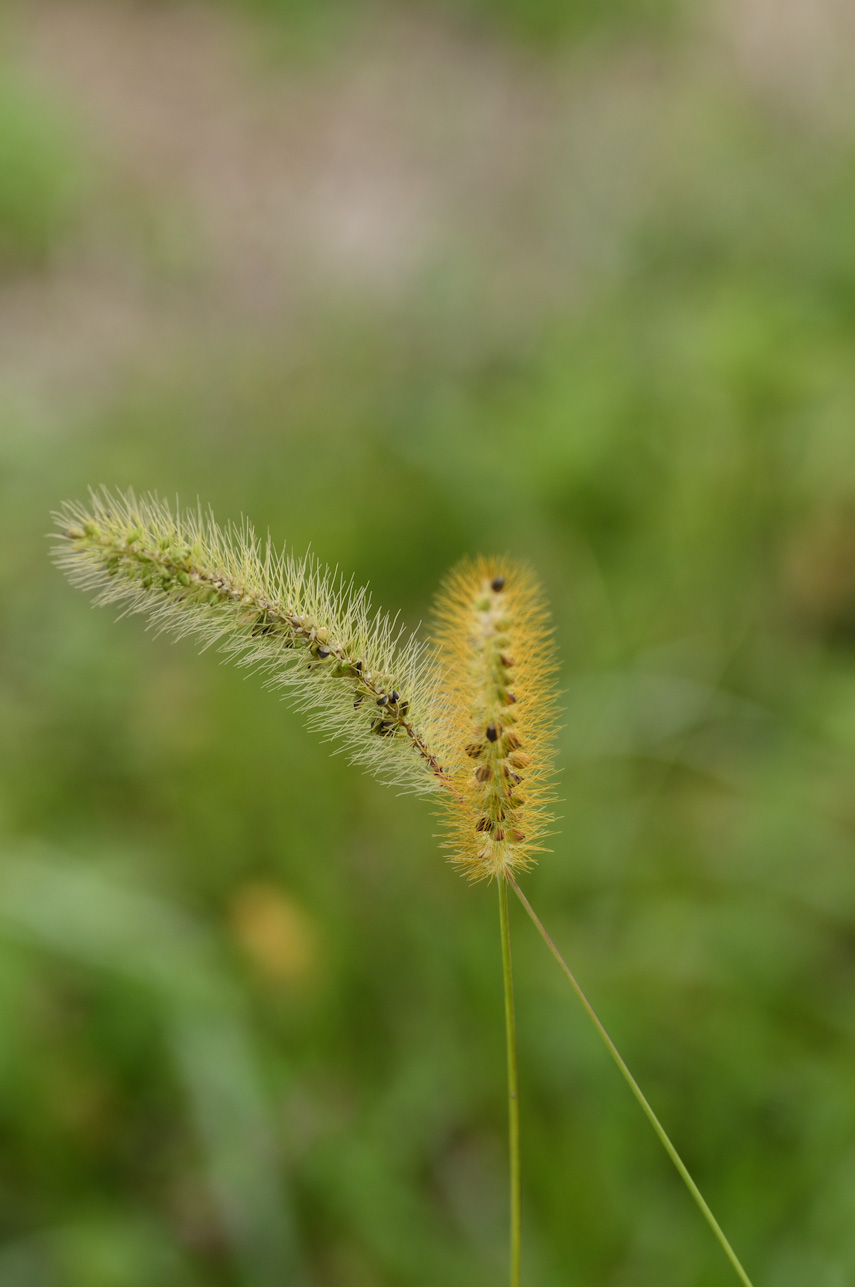 b0302839_149764.jpg