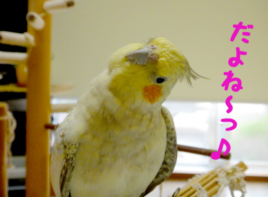 a0056140_18375031.jpg