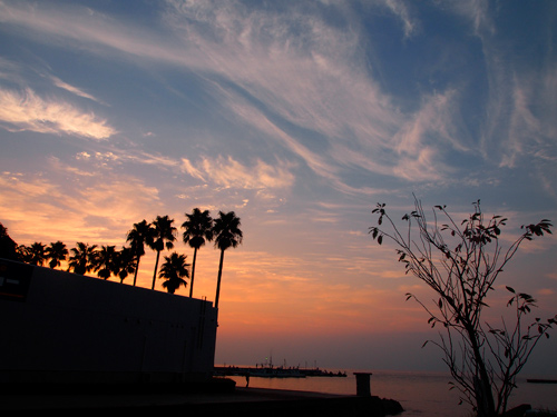 f0209740_1715501.jpg