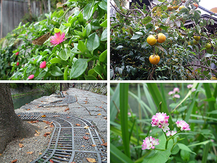 近江八幡・八幡堀（10月7日 月 2013年）_a0099744_22442545.jpg