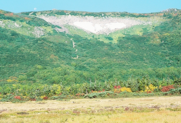 c0228945_5554268.jpg