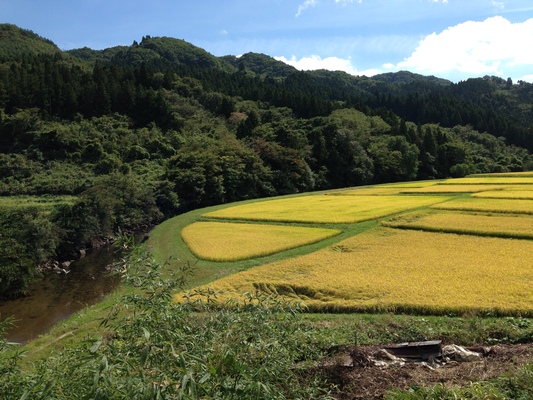福島 秋本番_c0261447_23423532.jpg