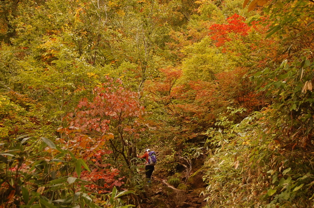 b0189948_23173899.jpg