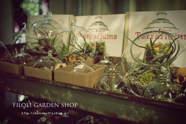 back to CA 2013 - filoli garden shop - _d0124248_2062886.jpg
