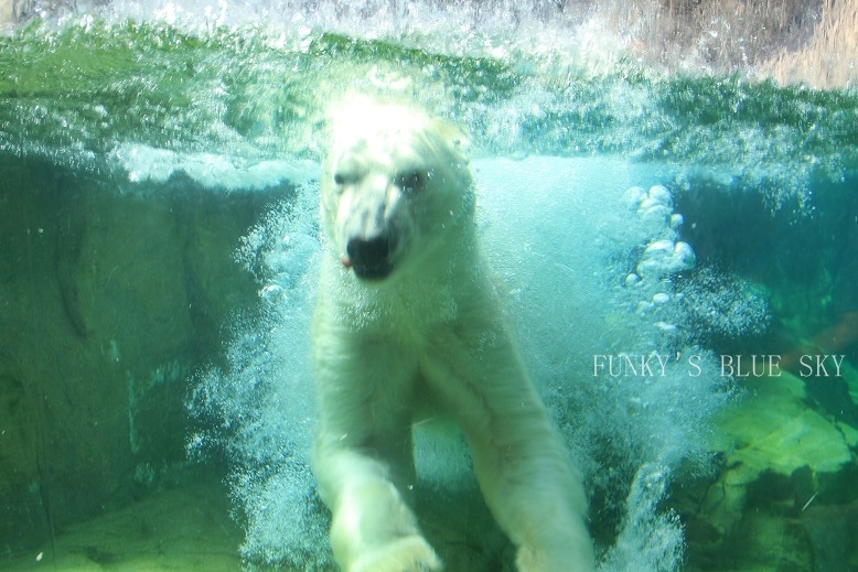 c0145250_9574549.jpg