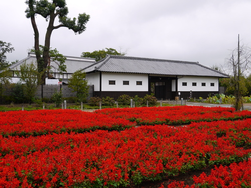 10月6日　花久の里（鴻巣市）_a0133653_11414761.jpg