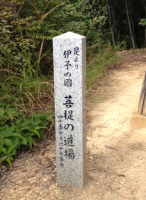 f0065954_21405148.jpg