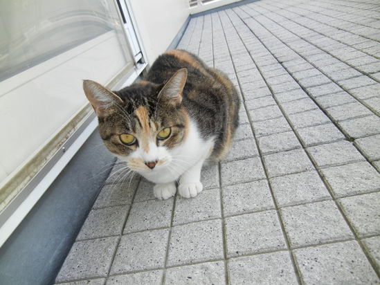 ’13,10,7(月)ペンキ塗りは楽しっ!_f0060461_1064690.jpg