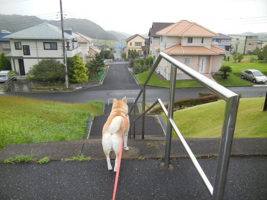 ’13,10,7(月)ペンキ塗りは楽しっ!_f0060461_9561531.jpg