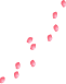 a0052666_1531025.gif