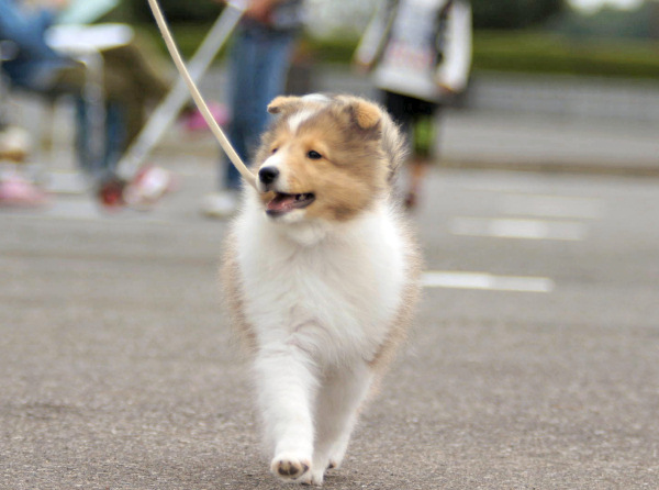 キャサリンです。_a0139367_2214571.jpg