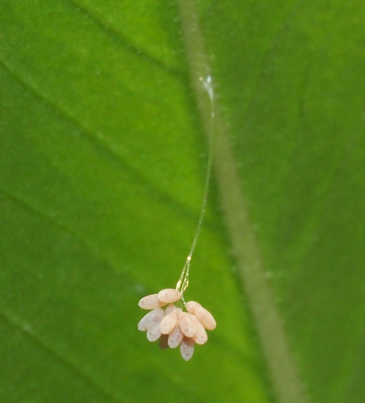 b0135573_17564018.jpg