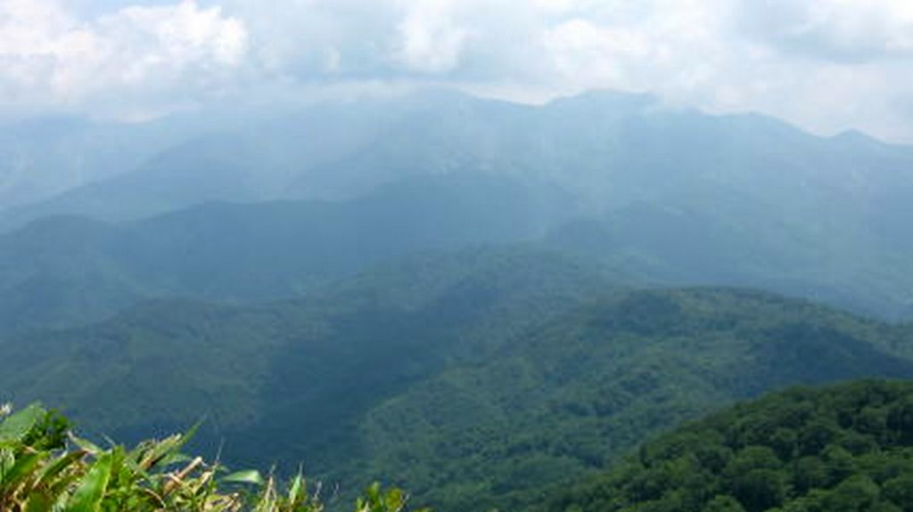 b0185573_16131141.jpg