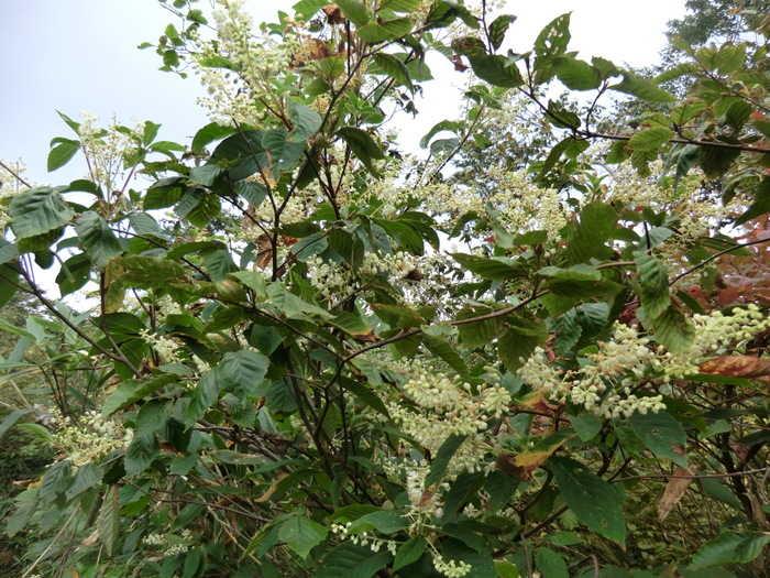 b0185573_18205495.jpg