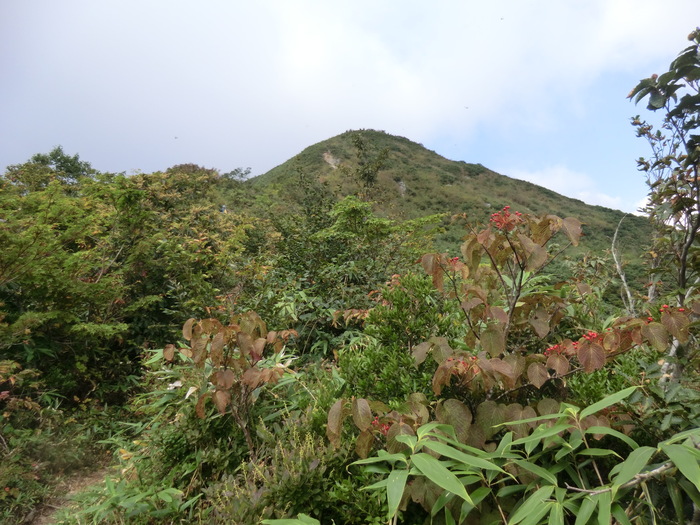 b0185573_18252544.jpg