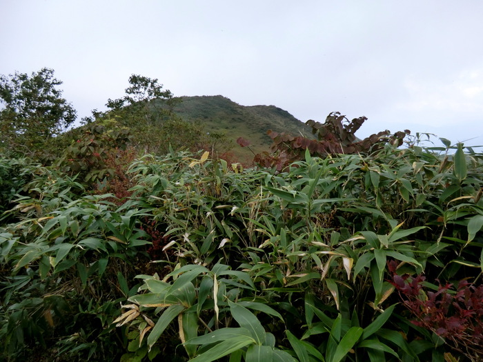 b0185573_18404390.jpg