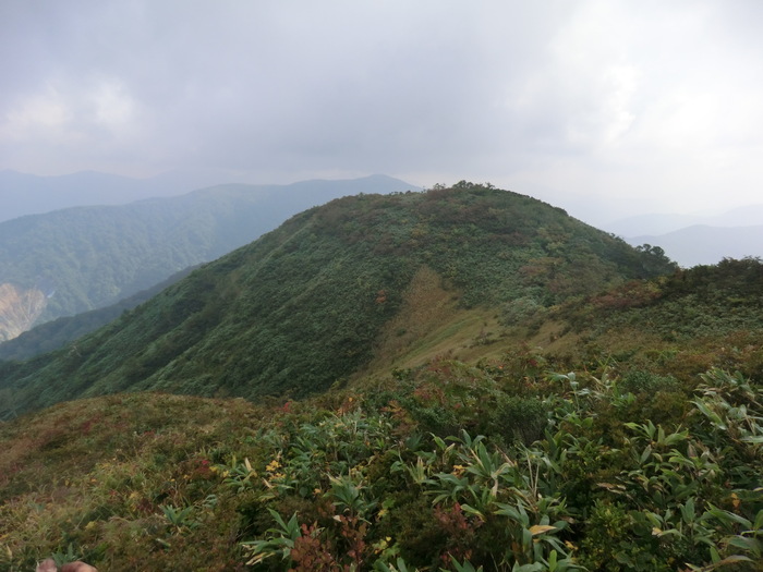 b0185573_1915892.jpg