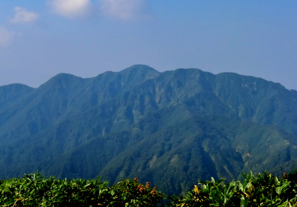 b0185573_7443893.jpg