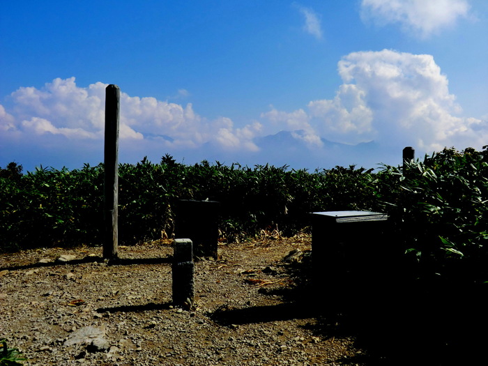 b0185573_7592638.jpg