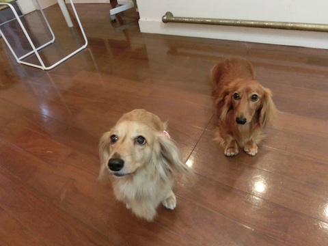 f0150073_1283968.jpg