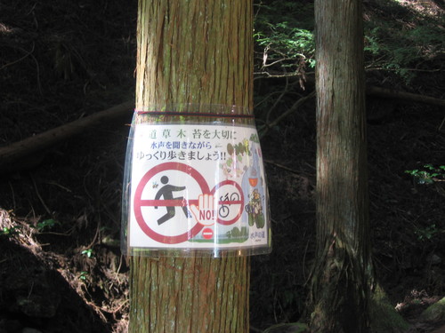 f0259373_9472436.jpg