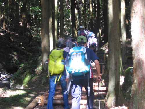f0259373_948614.jpg