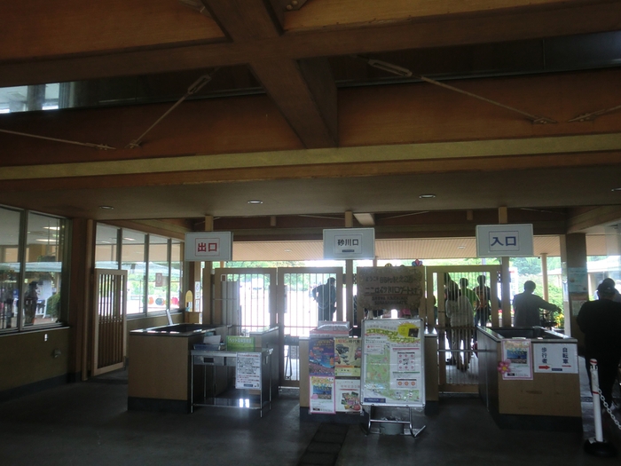 20131006 昭和記念公園 コスモスまつり2013＆日清製粉グループKonaフェスタ2013_b0075575_1027267.jpg