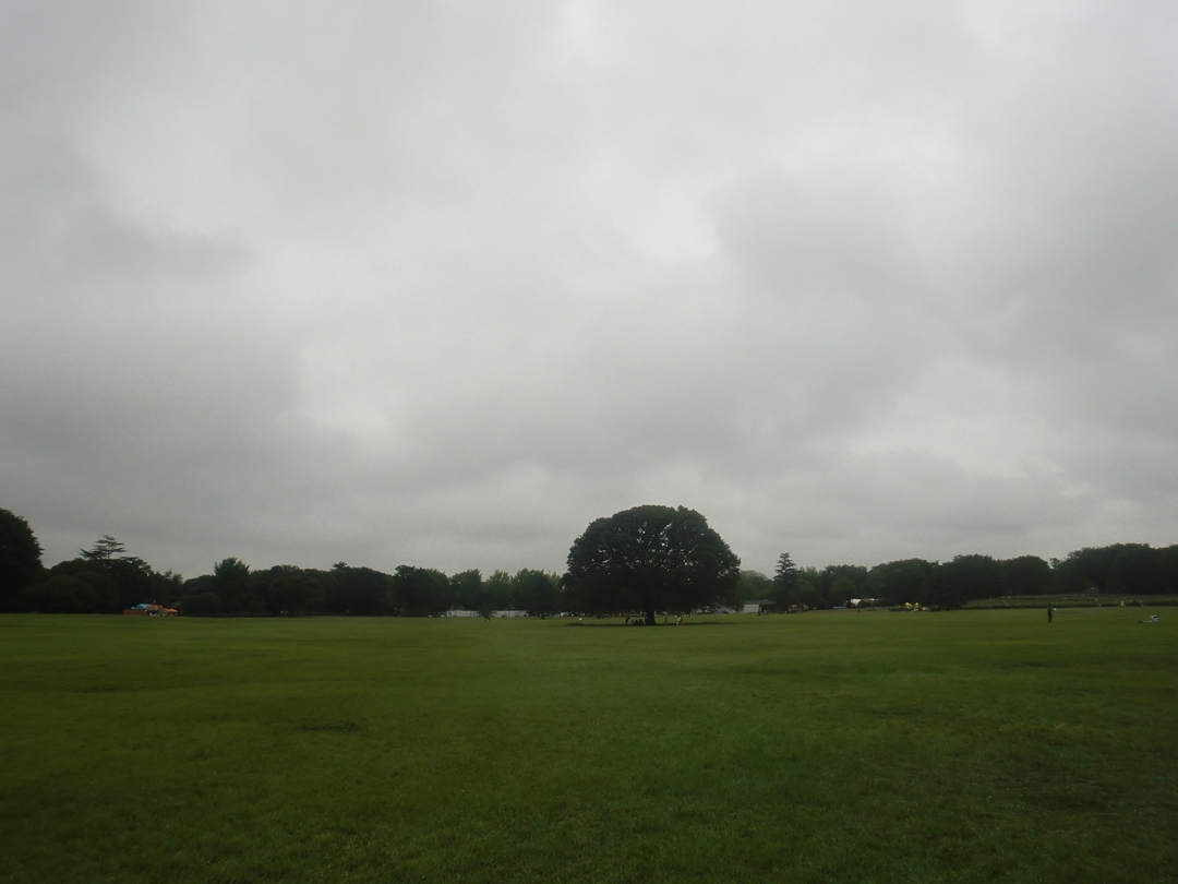 20131006 昭和記念公園 コスモスまつり2013＆日清製粉グループKonaフェスタ2013_b0075575_10315551.jpg